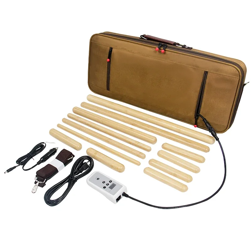 Portable Electric Professional Heating Therapy Kit for heating hot stone massage set