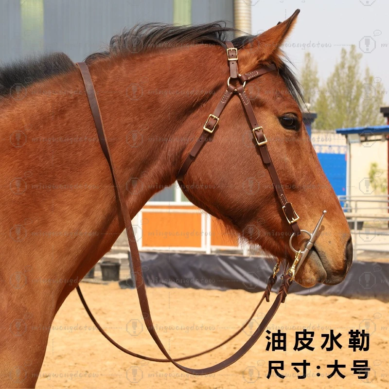 Oiled Leather Bridle Set with Reins, Horse Bit & Mouthpiece, Adjustable Halter for Leading & Controlling, Equestrian Tack