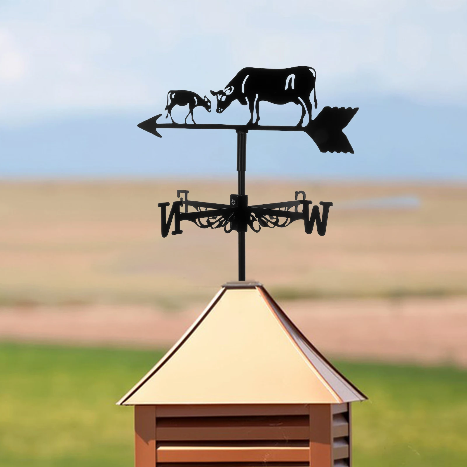 

1 Set Iron Weathervane Vintage Metal Wind Direction Indicator For Garden Lawn Yard Decor Outdoor Shed Patio Roof Ground Insert