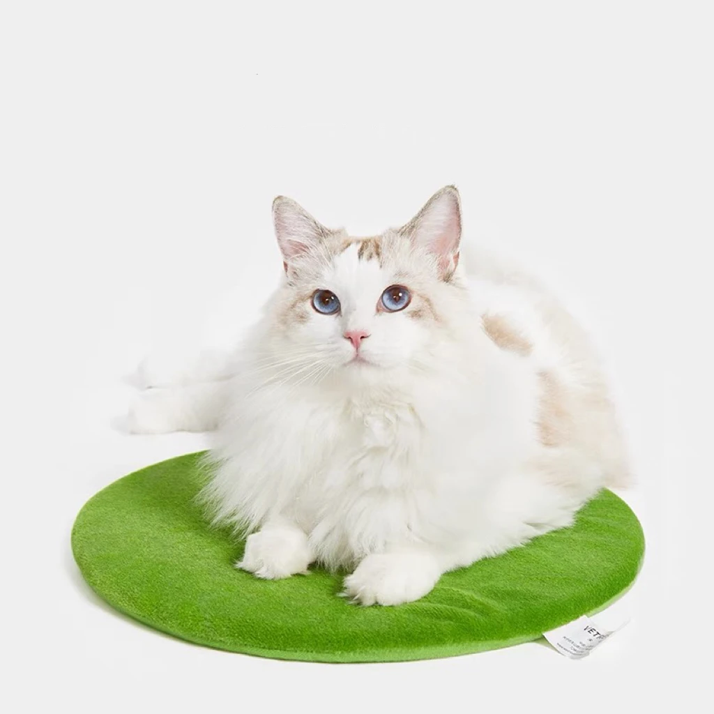 Imagem -05 - Oasis Cactus Shaped Pet Bed Soft Cat Kennel Small Dog Cage para Dormir Four Seasons Beds Pets Acessórios