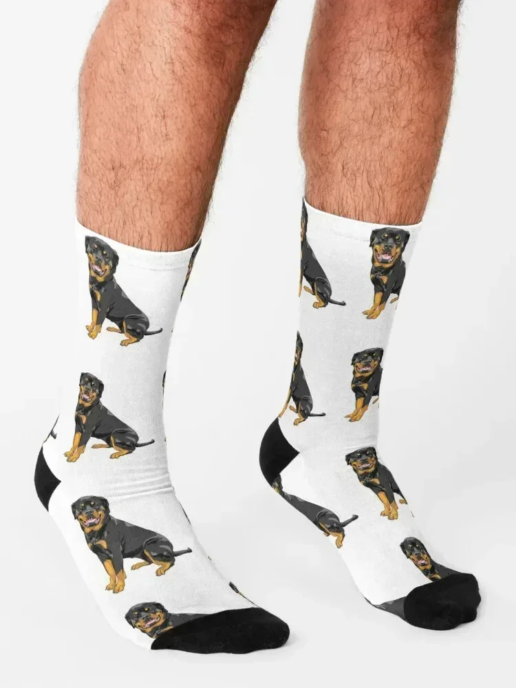 로트와일러 개 품종 패턴 양말 디자이너 남자 재미있는 선물 양말 남성용 여성용