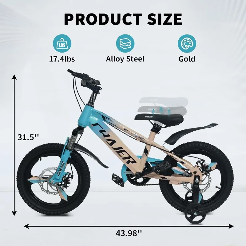 1Pc Bike Bicycles Mountain Bicycle Gold 16In with Training Wheels Ride on Toys Correpasillos Trotinette Electrique Scooter Cocuk