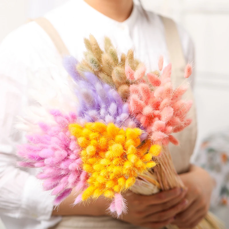 

45cm Natural Dried Flowers Rabbit Tail Grass Eucalyptus Bunch Colorful Lagurus Ovatus Real Bouquet For Diy Home Wedding Decor