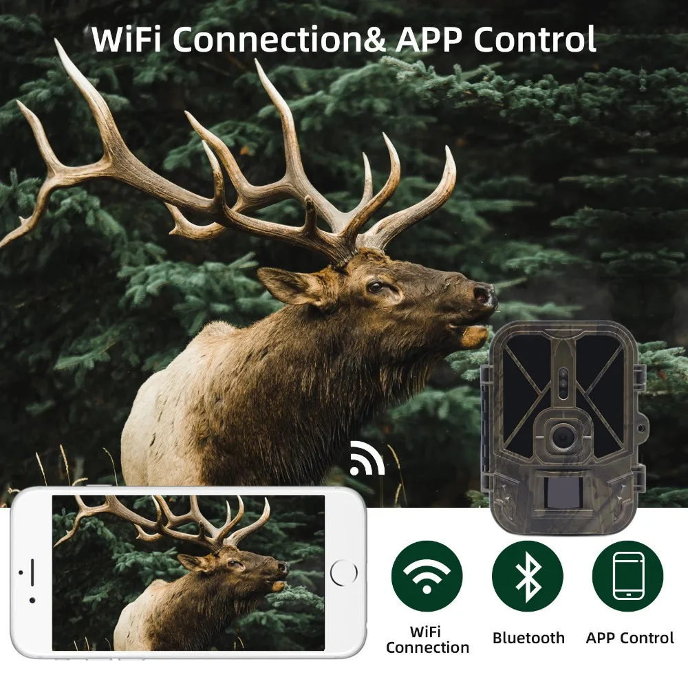 Suntekcam 36MP 4K WiFi Hunting Trail Camera with Night Vision APP Live Show WiFi940Pro for Wildlife Monitoring