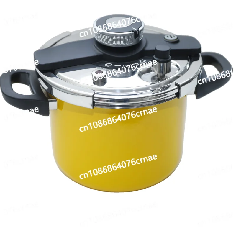 Enamel  Multipurpose  Stainless Steel Pressure Cooker for Induction Use Made of