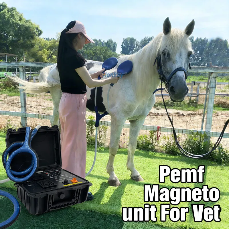 Personal Pet Care PEMF Device Loop For Dog Wellness Cat Body Massage Pulse Electromagnetic Field Therapy Health Machine