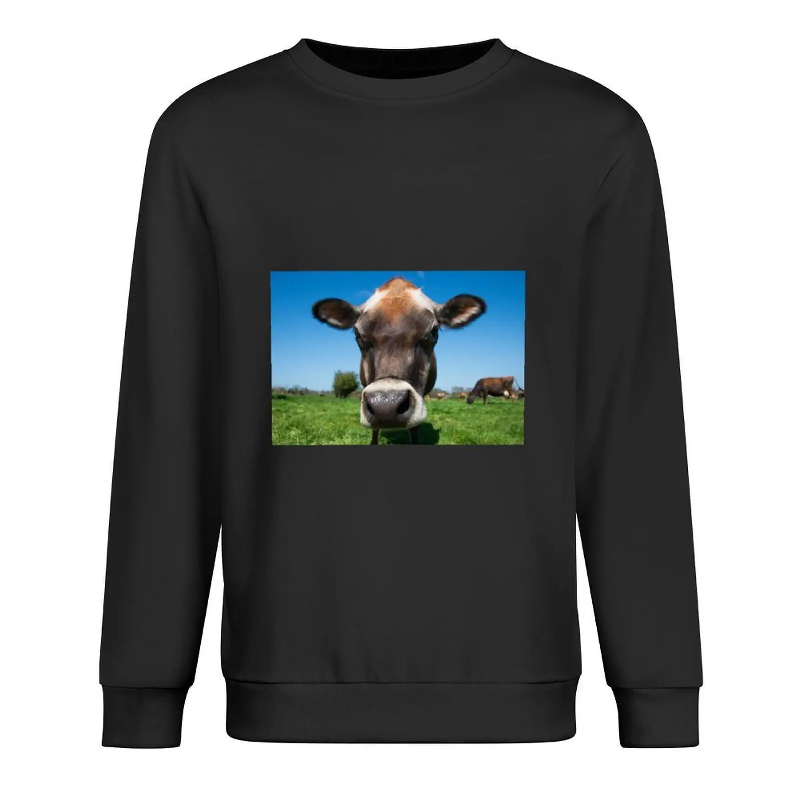 

Moo Pullover men clothes men's sweat-shirt blouse men's clothing sweatshirt male