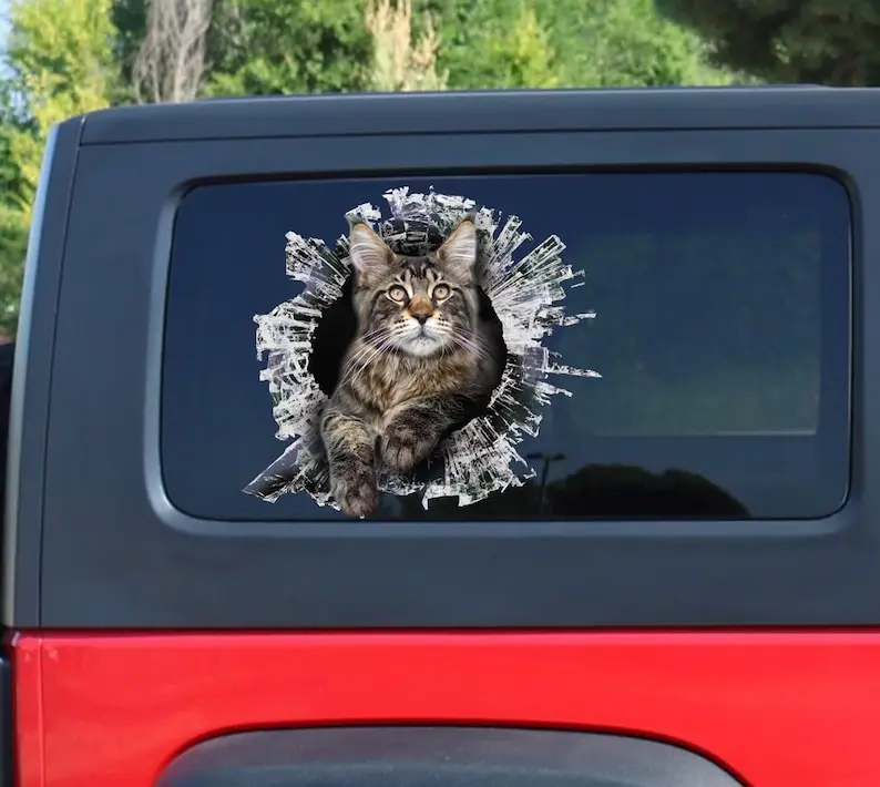 Funny Maine coon window sticker, car sticker, Maine coon car decal, window sticker