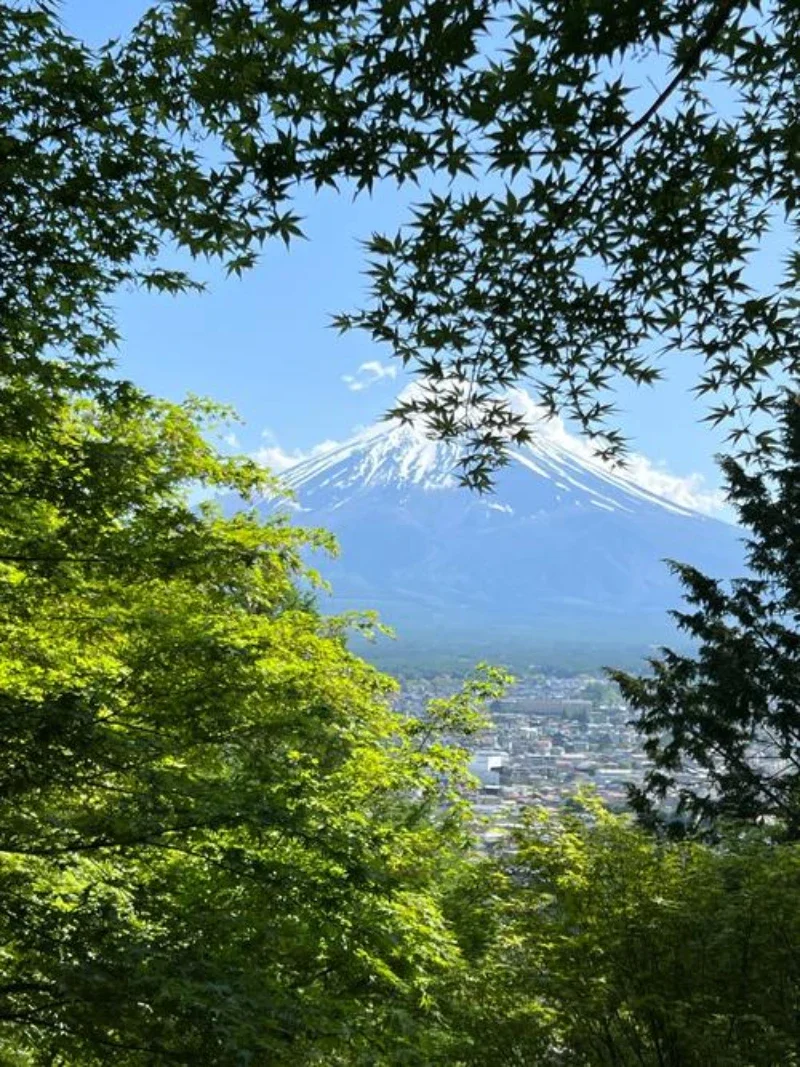 

Наклейки-полосы на капот и крышку двигателя для Mini Cooper R50 R52 R53 R56 R57 F55 F56 F56 Hatch, аксессуары для стайлинга автомобиля