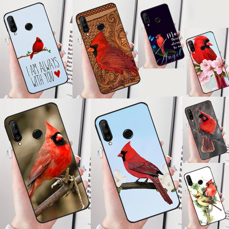 Cardinal Red Bird F… - image