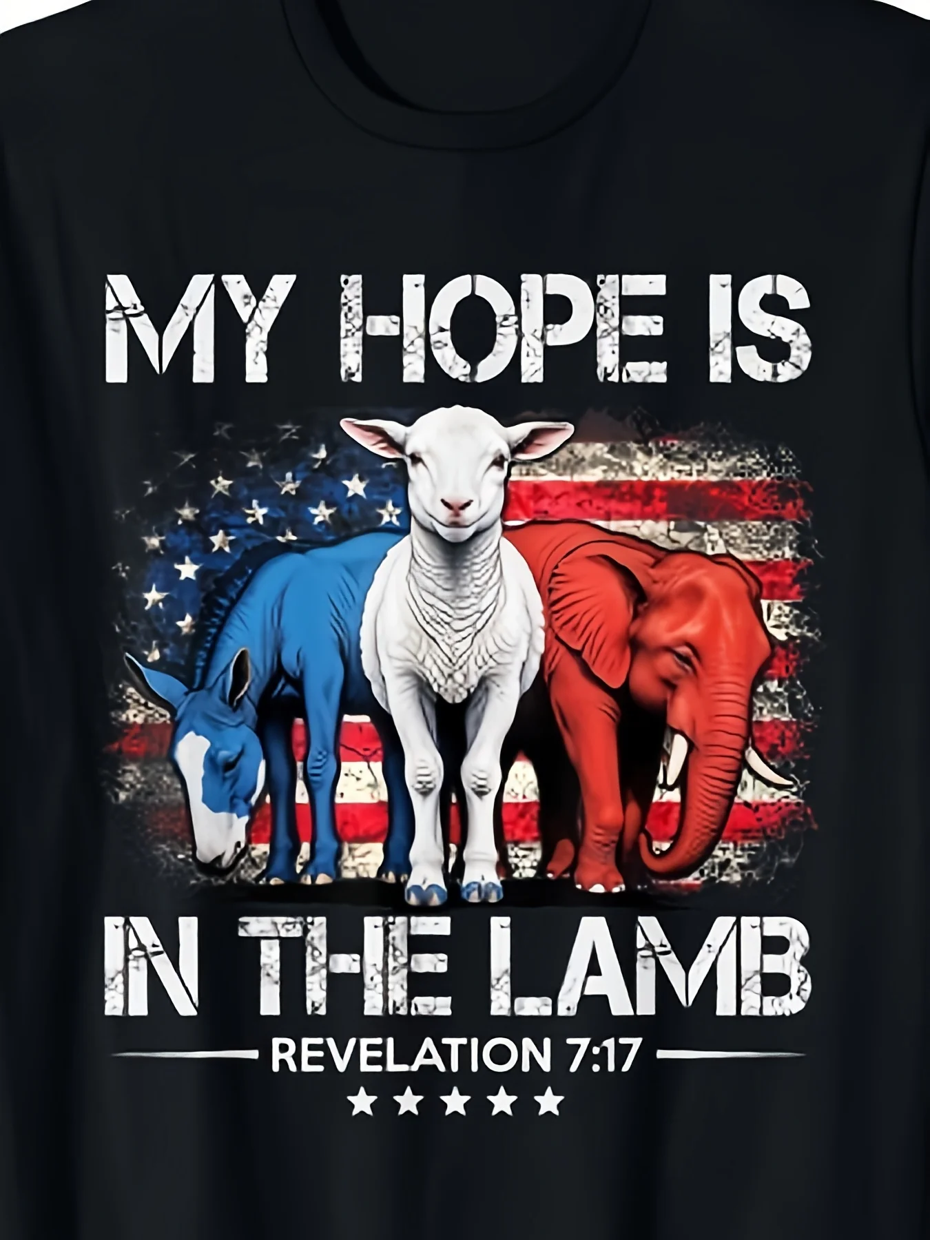 My Hope is in the Lamb Verse T-Shirt - Faith Elephant  Donkey Design, Unisex 220 Heavy  Retro Church Shirt, Short Sleeve Round Neck Casual Wear for Men  Women (Psalm 23 Inspired)
