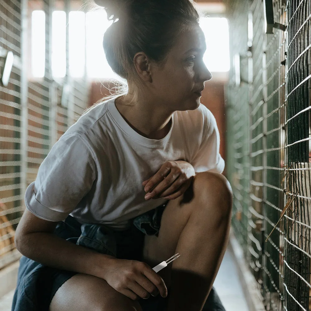 

9 Pcs Immunization Needles for Fowl Pox Chicken Inoculation Supplies Professional Roaster Poultry Practical