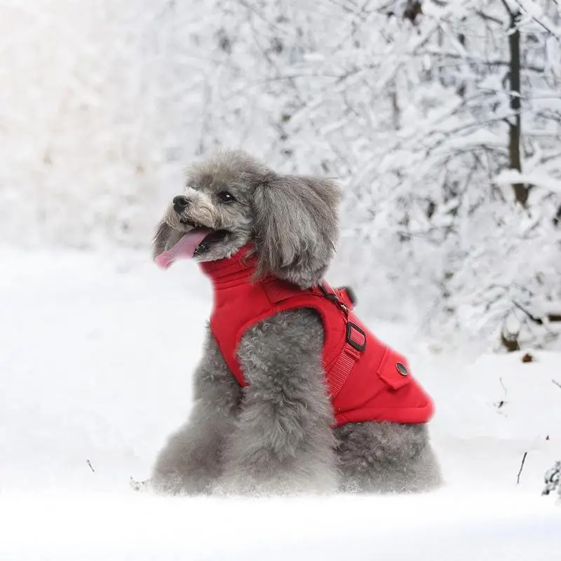 Casacos de inverno para cães pequenos, jaquetas impermeáveis com arnês e anéis D, casacos quentes com zíper para clima frio