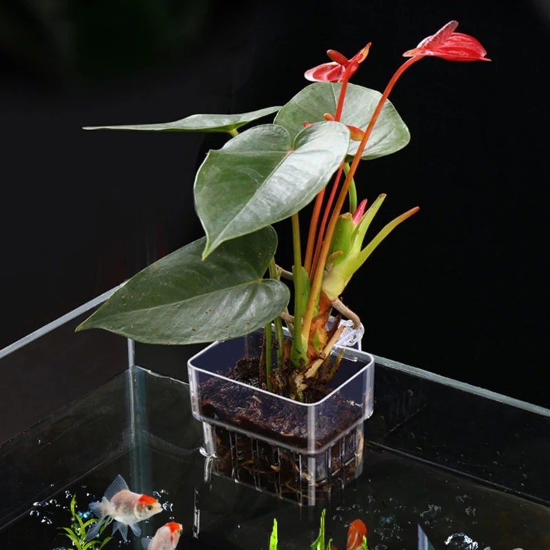 R1WA Hangings Aquarium Plant Holder Aquatic Plant Pots with Hole Aquarium Plant Cups for Emersed Plant Aquascapes Decorations