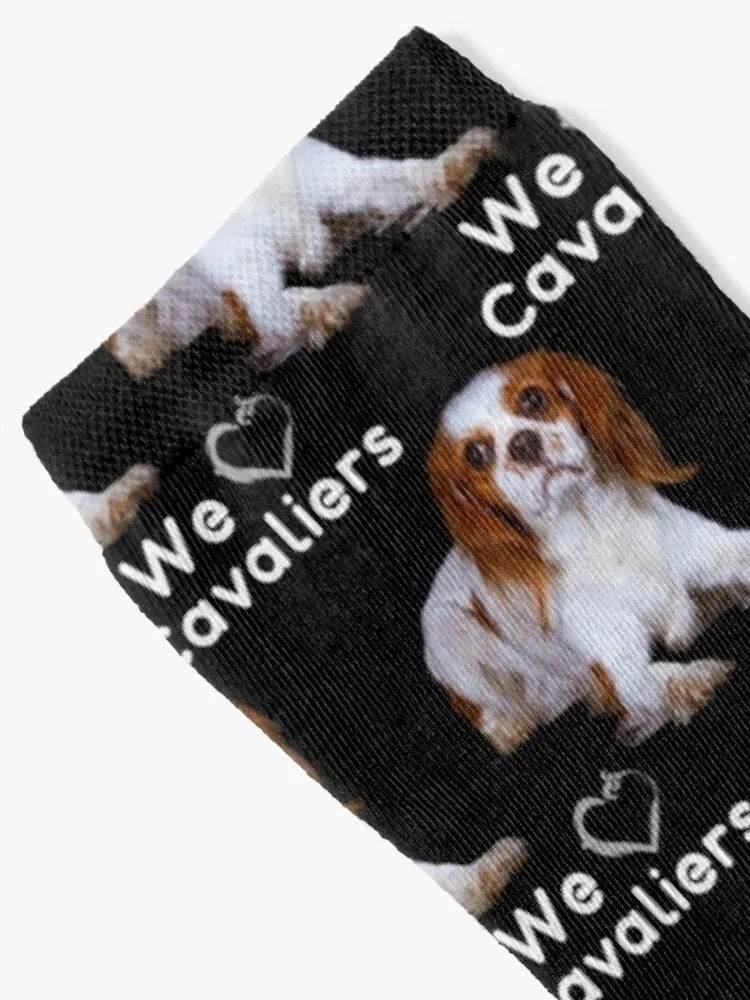 Cavalier King Charles Spaniel Patterns Socks sheer gifts Heating sock new year Socks Men Women's