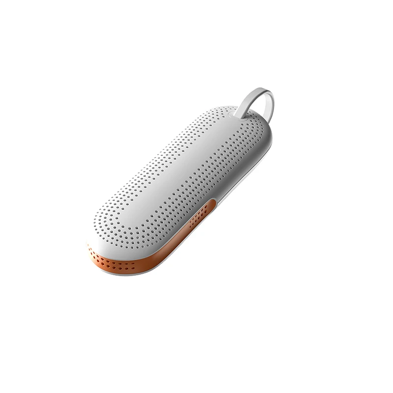 Smart Electric Shoe Dryer and Boot Warmer Portable Sanitizing and Deodorizing Device with Timer