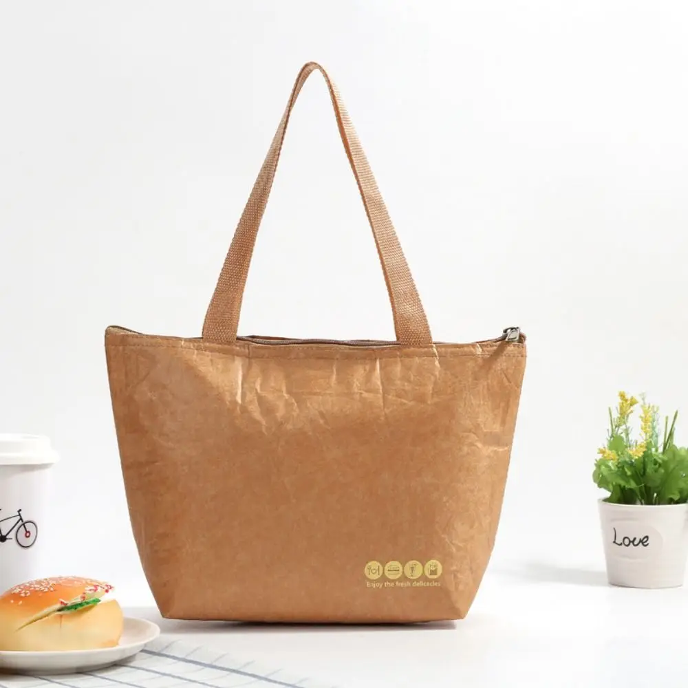 Organizer Insulation Package Leakproof Foldable Waterproof Lunch Bag Food Hand Bags Tote Canvas Lunch Bag Kraft Paper Bags