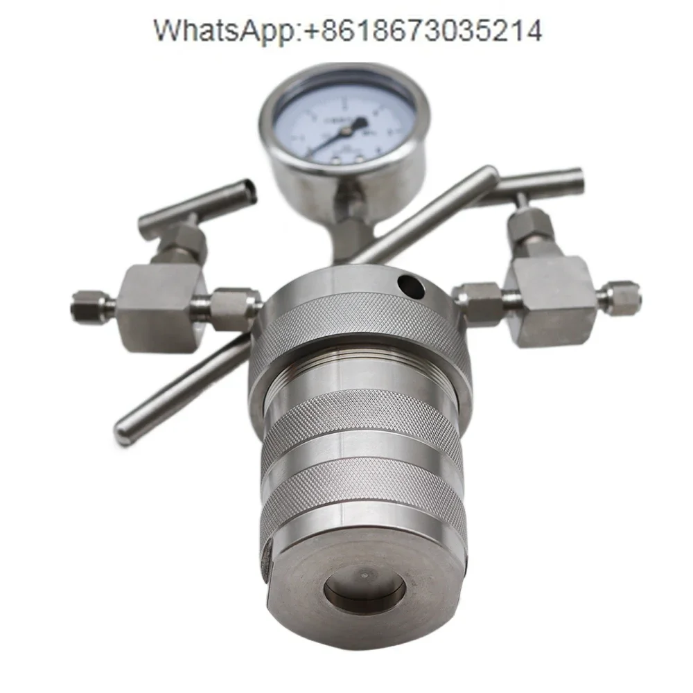 100ml 6Mpa Hydrothermal synthesis Autoclave Reactor vessel +inlet outlet gauge