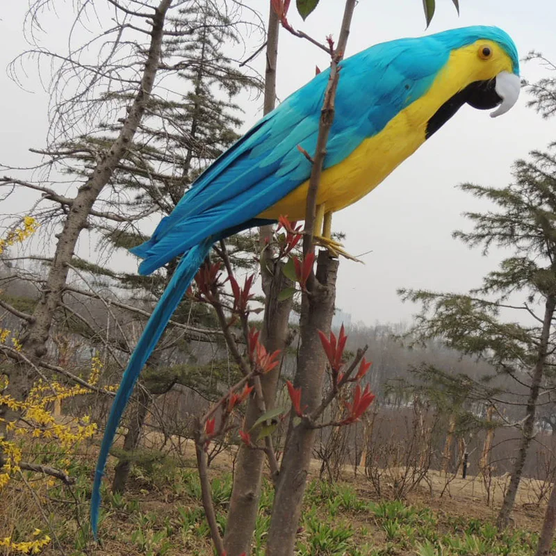 

new real life blue&yellow parrot model foam&feather big parrot gift about 60cm d0177