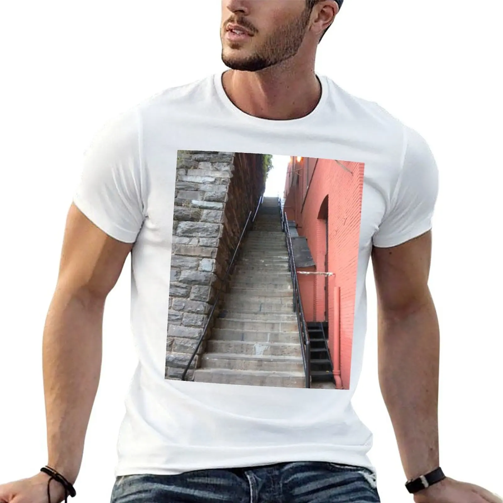 Exorcist Steps T-Shirt man t shirts cotton funny t shirts cotton funny t shirts dark humor T-shirt