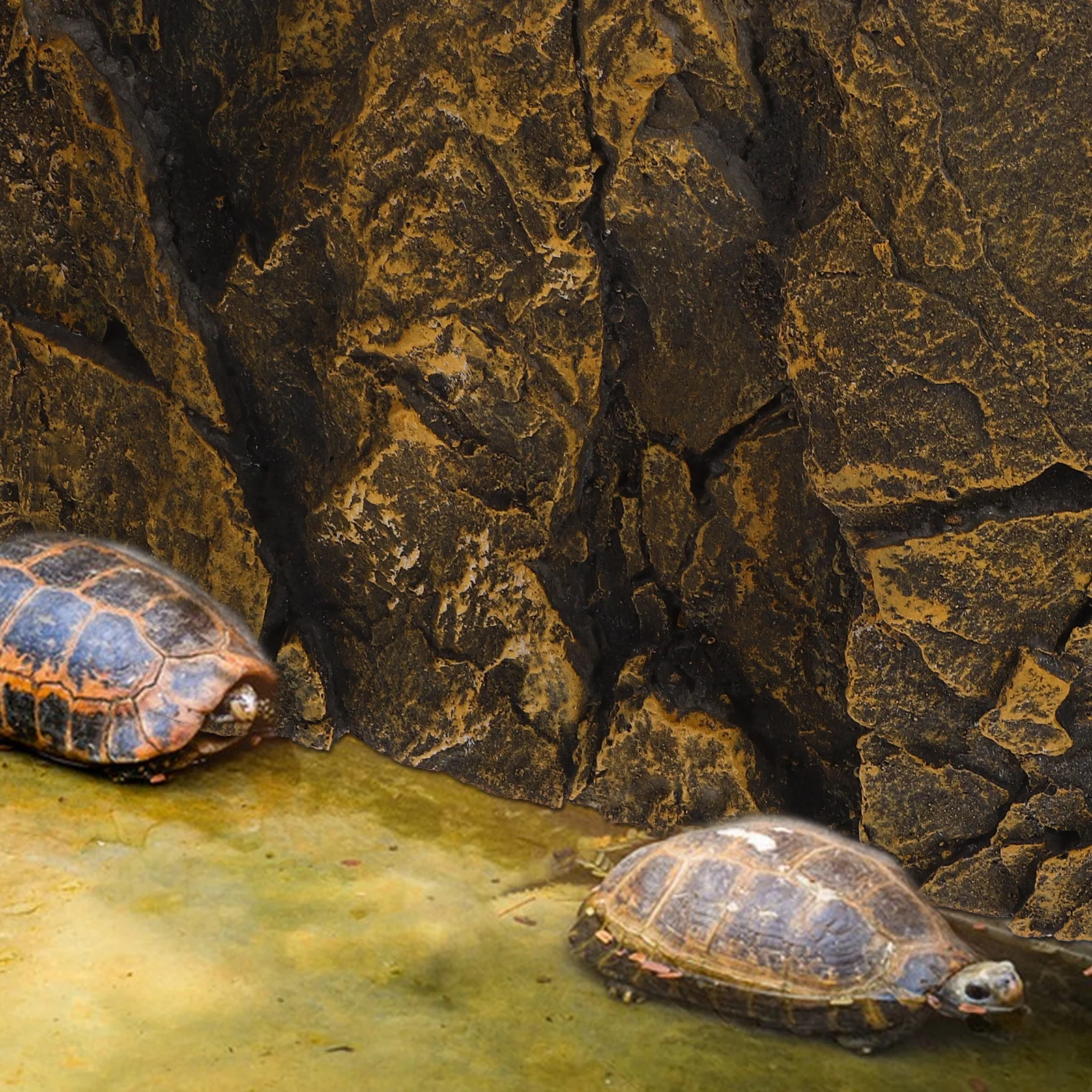 

Fish Tank Background Board 3D Realistic Rock Texture For Reptile Terrarium Aquarium Decorative Landscape Styling Habitat