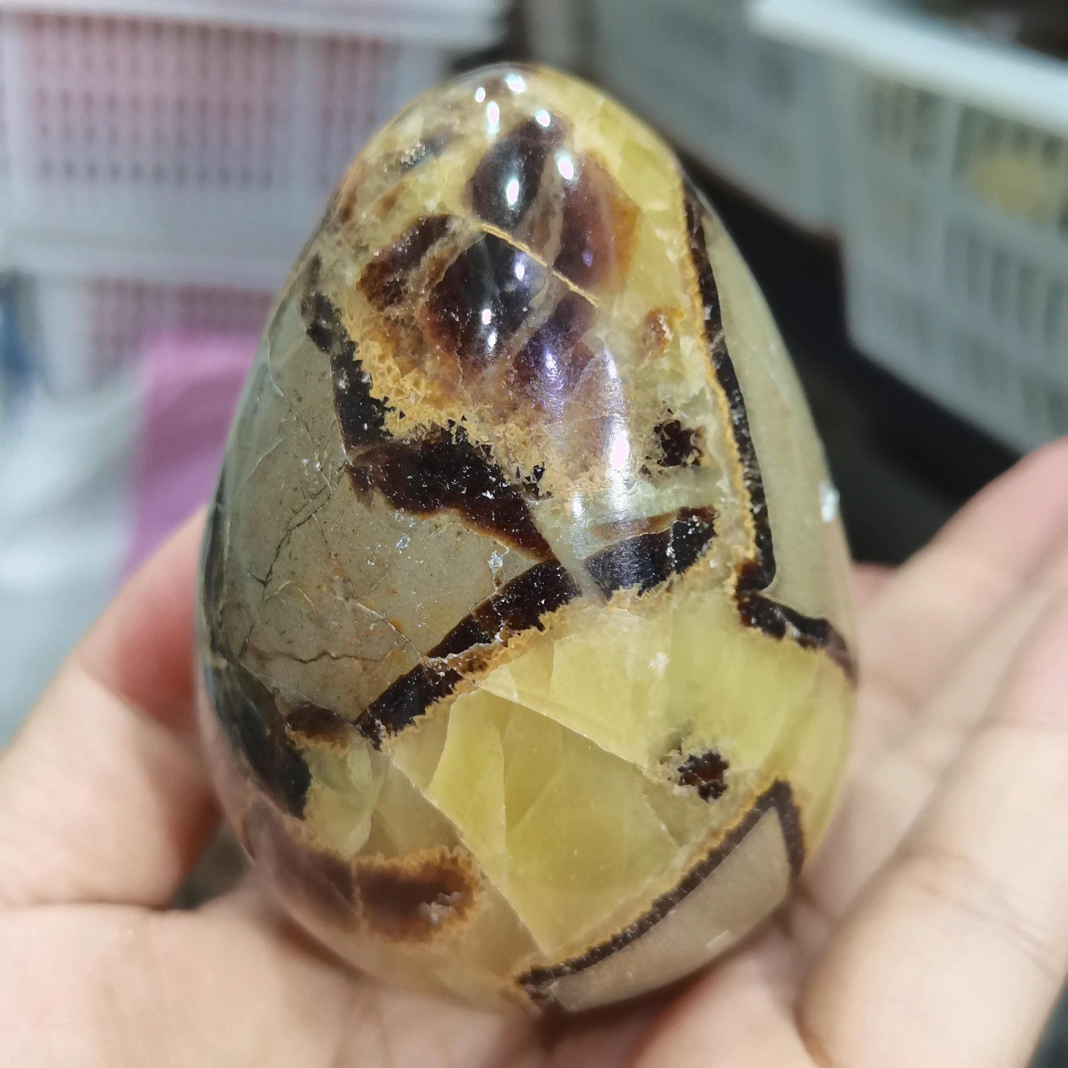 Egg Shaped Stones Natural Gemstone Hand Polished Craft Gifts Room Ornament Healing Crystals Home Decor