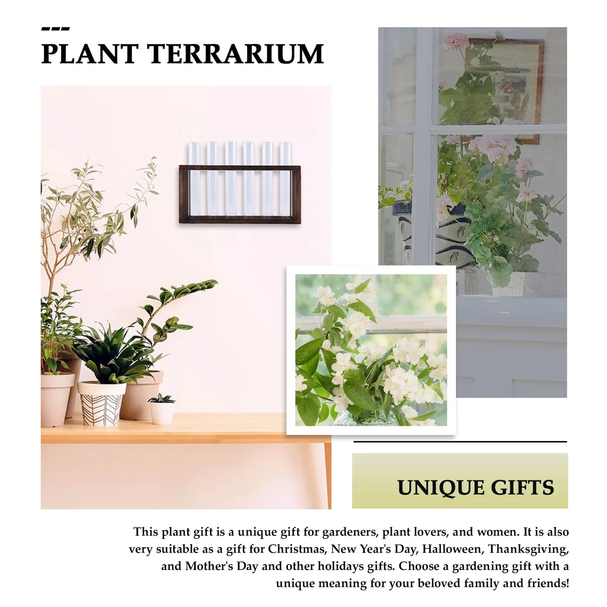 Plant Terrarium with Wooden Stand, Desktop/Wall Hanging Live Plant Propagation Station Glass Tubes Hydroponic