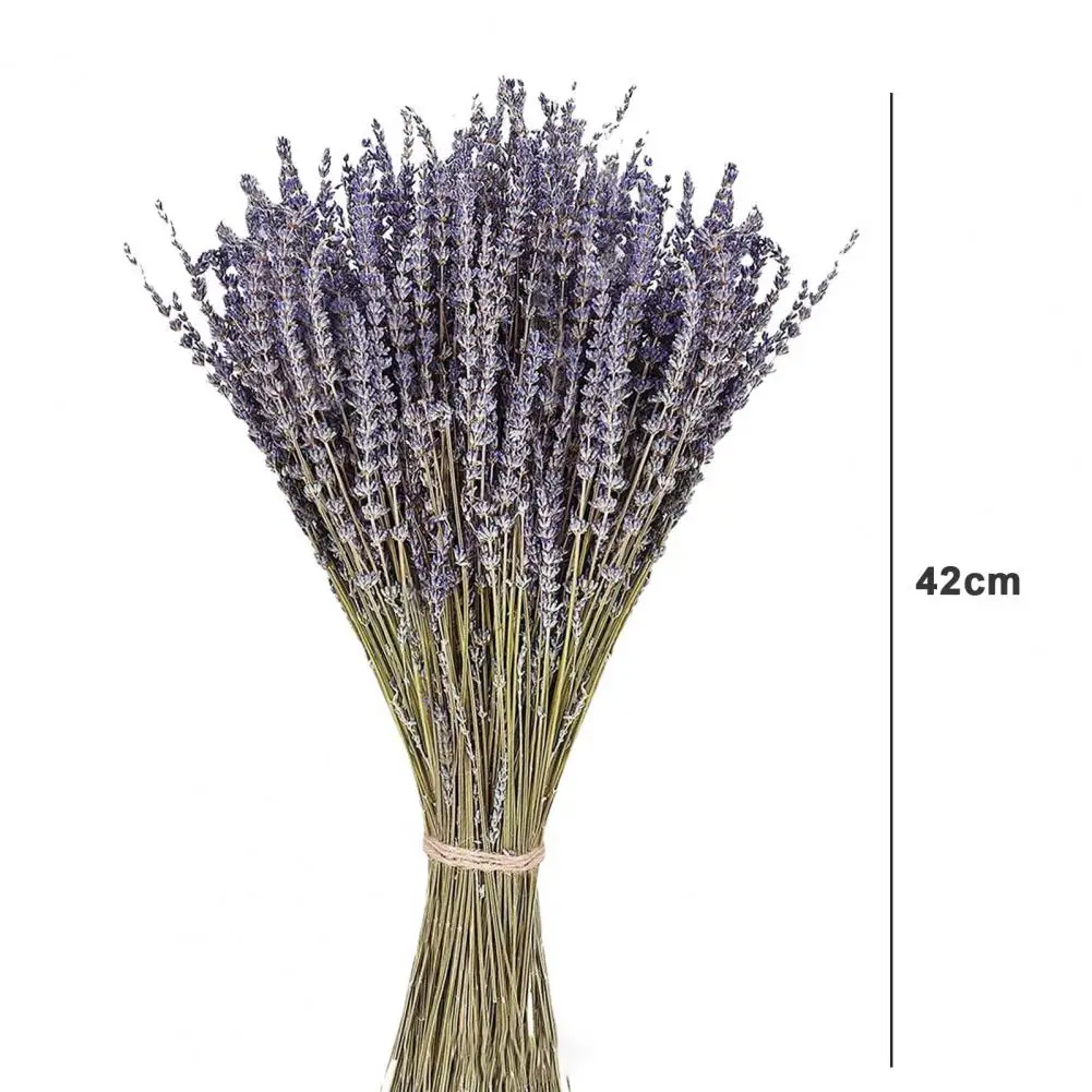 1 Box Natural Dried Lavender Sweet Scent No Watering Wedding Decor Bedside Better Sleeping Flower Arrangement Natural Plants