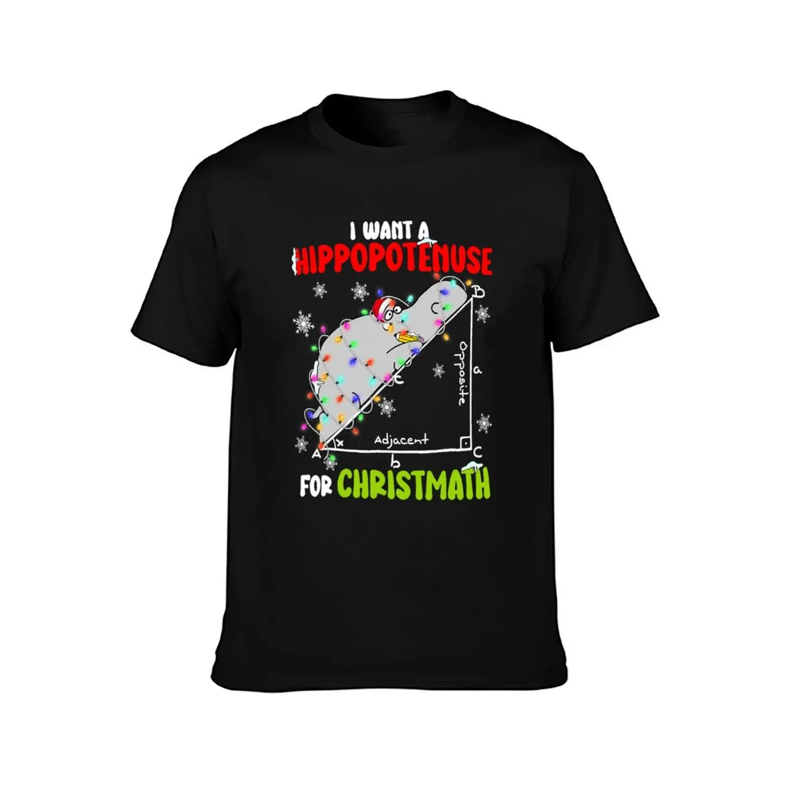 I Want A Hippopotamus For Christmas, Xmas Hippo Math Gift For Teacher T-Shirt sweat mens t shirts top quality