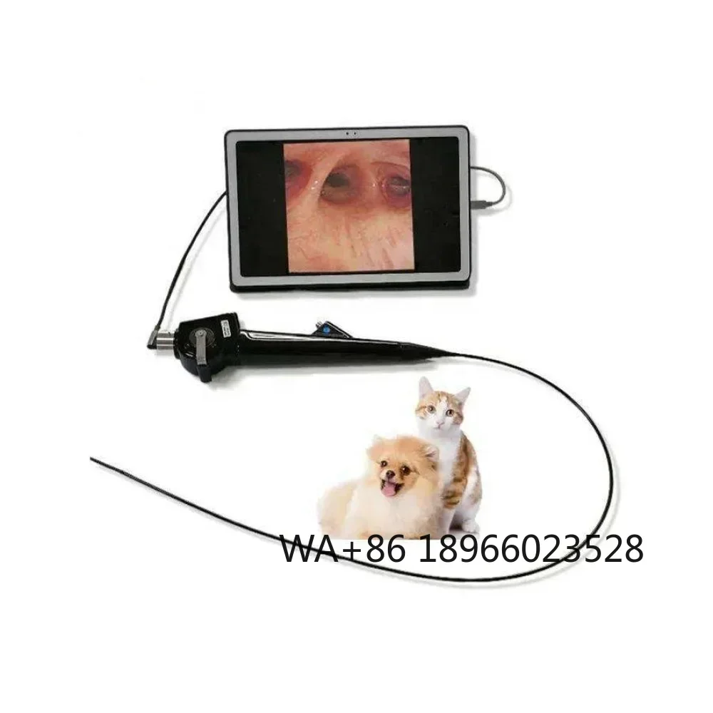 Portable Equine Endoscope With 720P High Definition And 1500mm Working Length Veterinary Endoscope