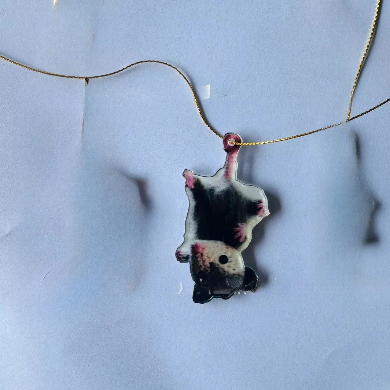 Acrylic Opossum Hanging Decoration - Featherless, No-Electricity Cute Cartoon Possum Keychain Pendant for Outdoor Display