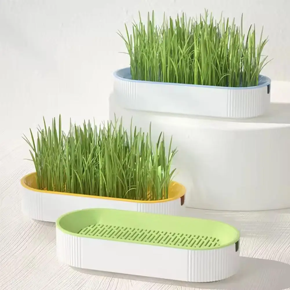 Pet Cat Grass Digestion Growing Tray Starter Dish Greenhouse Hydroponics Plant Cat Grass Germination Nursery Pot Grow Box