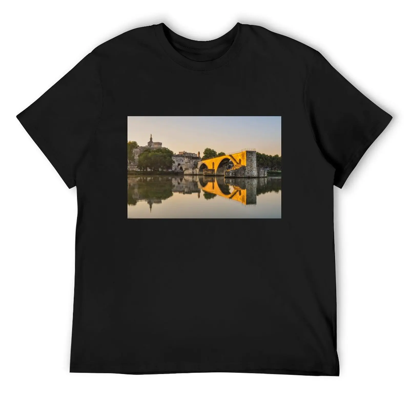 Avignon Bridge Reflection T-Shirt tees kawaii clothes sublime heavyweight t shirts for men