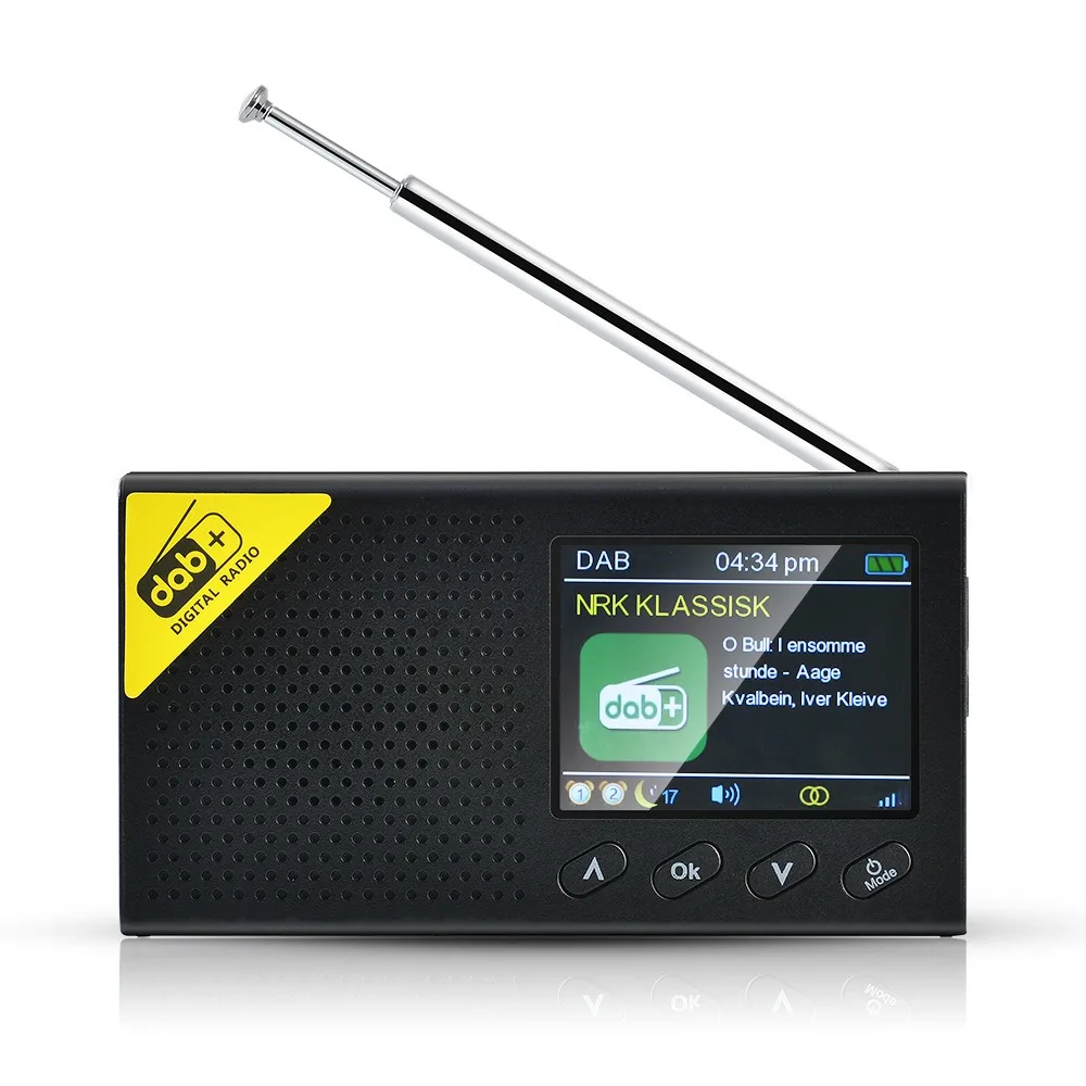 Portable Digital DAB+FM Radio with 5.0 BT Broadcasting Player Rechargeable Wireless DAB+FM Receiver Stereo Speaker Sound System