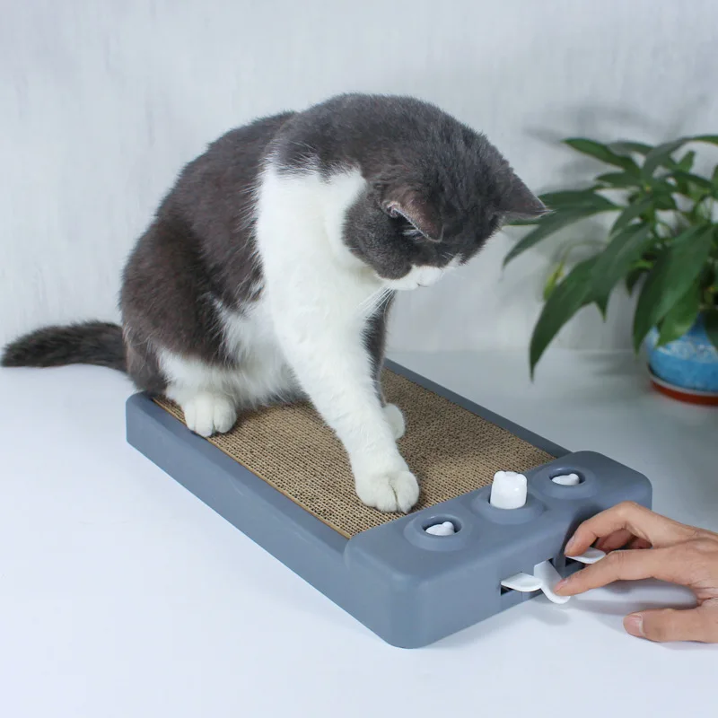 

Durable Corrugated Cat Scratching Board – Multi-Functional Teasing Toy (Hard Glue Reinforced)
