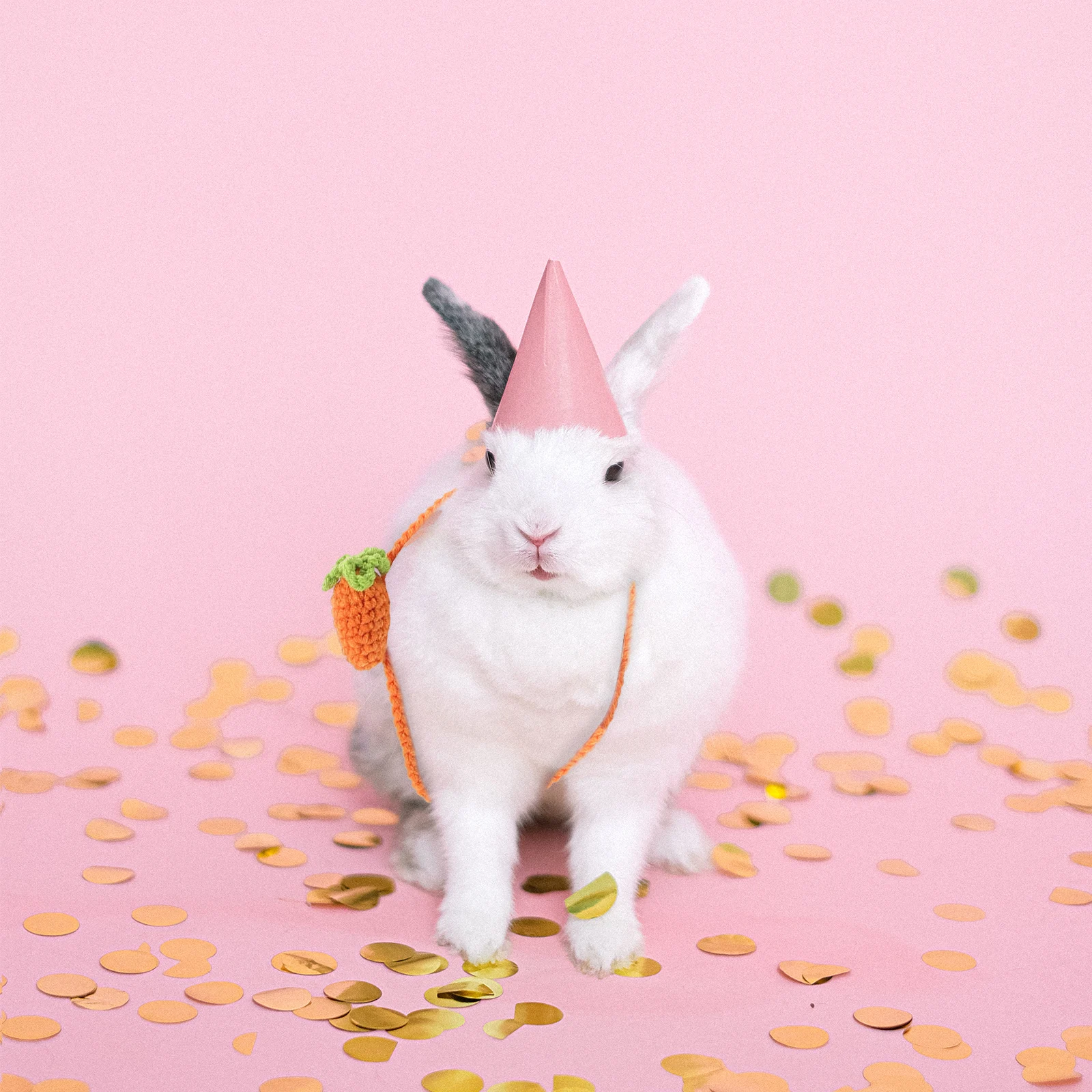 

Soft Felt Carrot Bag Adorable Bunny Costume Decorative Accessories For Party Photo Props Gift For Small Light Durable