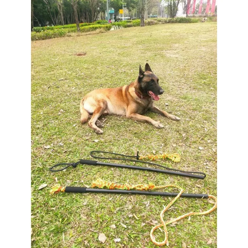 Adjustable Telescopic Dog Training Stick Flirt Pole Pets Outdoor Walking Interactive Play Durable Retractable Teaser Rod Chew