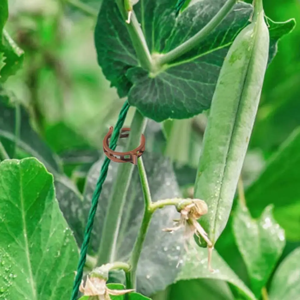 Clamp for Plants Climbing Vine Support Clips Climbing Plant Clamps Garden Vine Support Clips Long-lasting Plastic Plant Holders