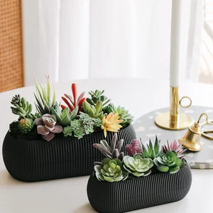 12 Main Sales Cactus - №9