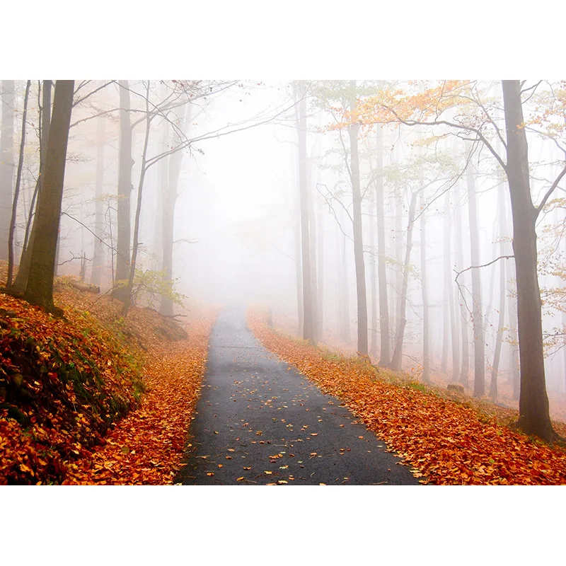 Фон для фотосъемки природный пейзаж весенний пейзаж путешествия студийный реквизит 2196 SSL-08