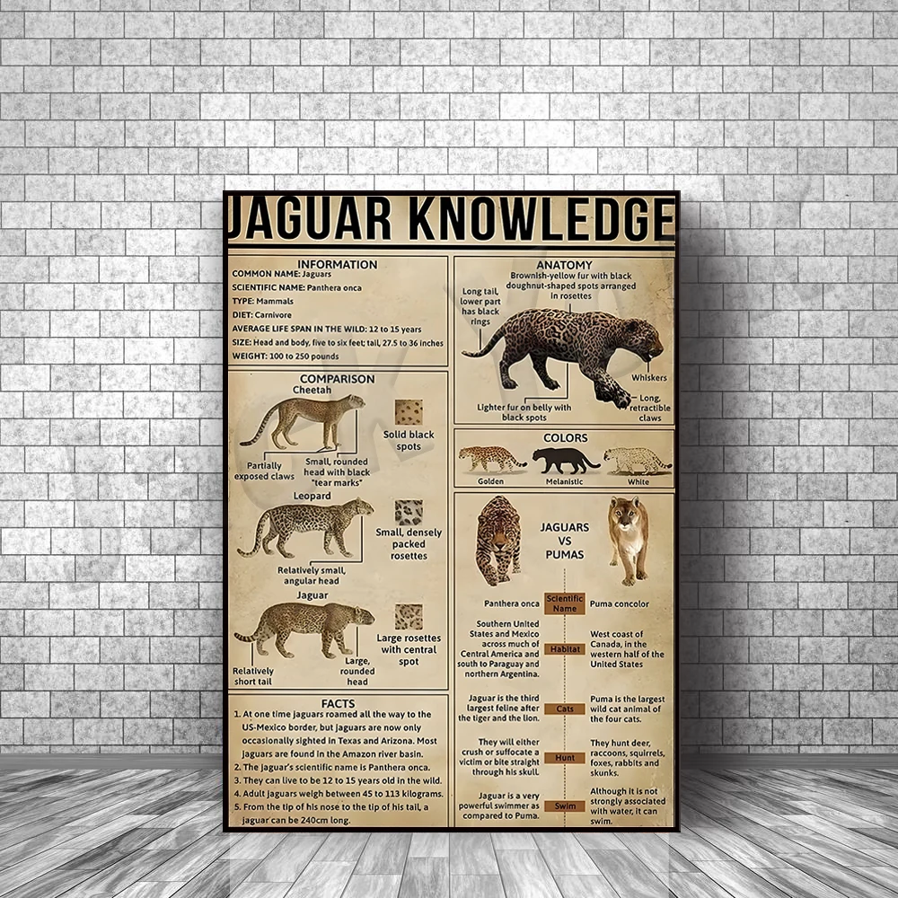 Póster de conocimiento de Jaguar, póster Modular de Jaguar, obra de arte de pared de conocimiento de animales, pintura en lienzo Vintage, decoración del hogar