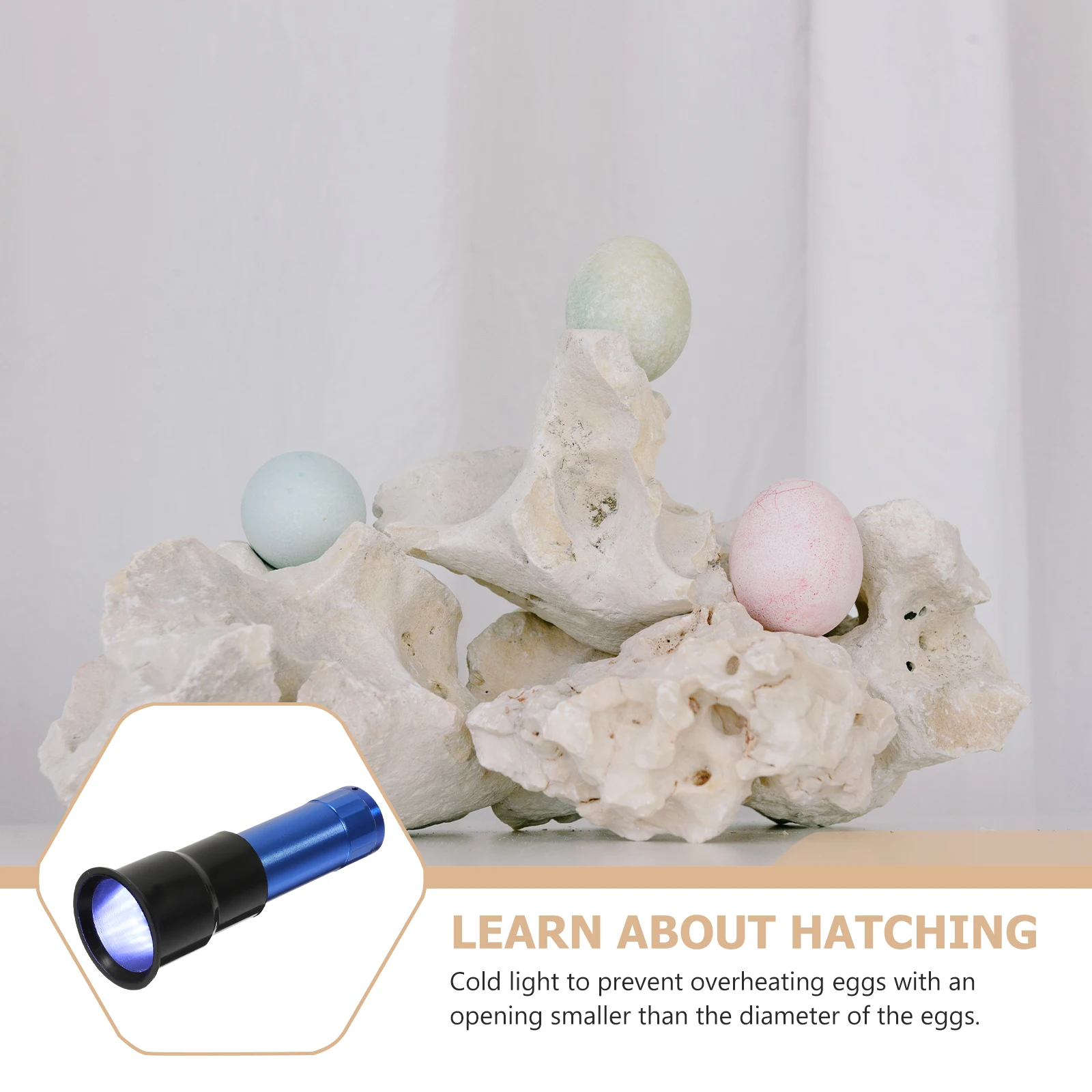 

Handheld Chicken Goose Quail Handheld Egg Candler Tester Quail Egg Incubator Incubation Tool Portable Cold Light Black