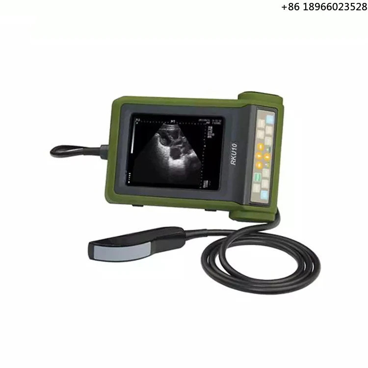 Wireless Portable Vet Veterinary Ecografo Veterinarios Animal Ultrasonic Veterinarioy Ultrasound Scanner