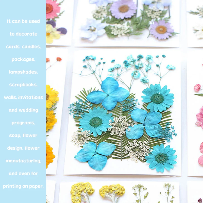 Real Pressed Dried Flower Dry Plant Stickers for DIY Phone Case Epoxy Resin Filling Pendant Jewelry Making Craft DIY Accessories