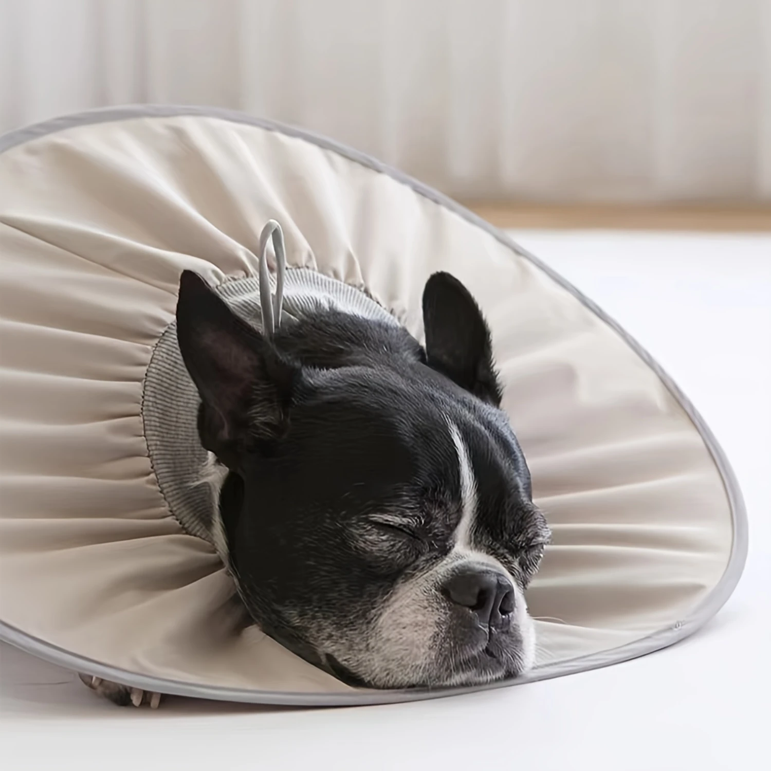 

Pet Elizabethan Collar for Dogs and Cats, Soft Polyester Fiber Recovery Cone, Adjustable Protective E-Collar for Post Surgery, G
