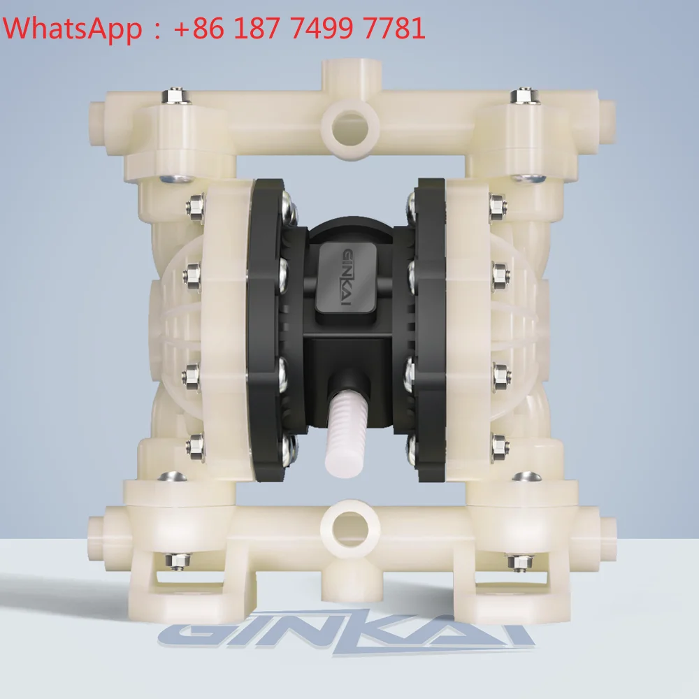 DN15 PVDF AODD Pump PTFE Diaphragm High Corrosive Oxidizing Industrial Chemical Transfer Pump