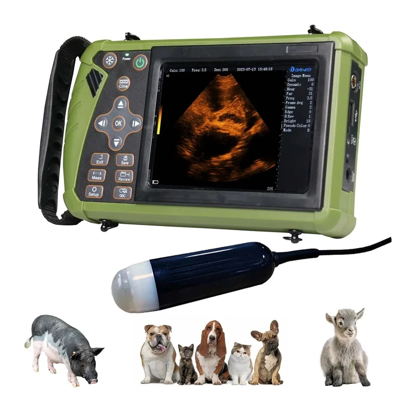 Large Animal Ultrasound Scanner  Rechargeable Battery Storage