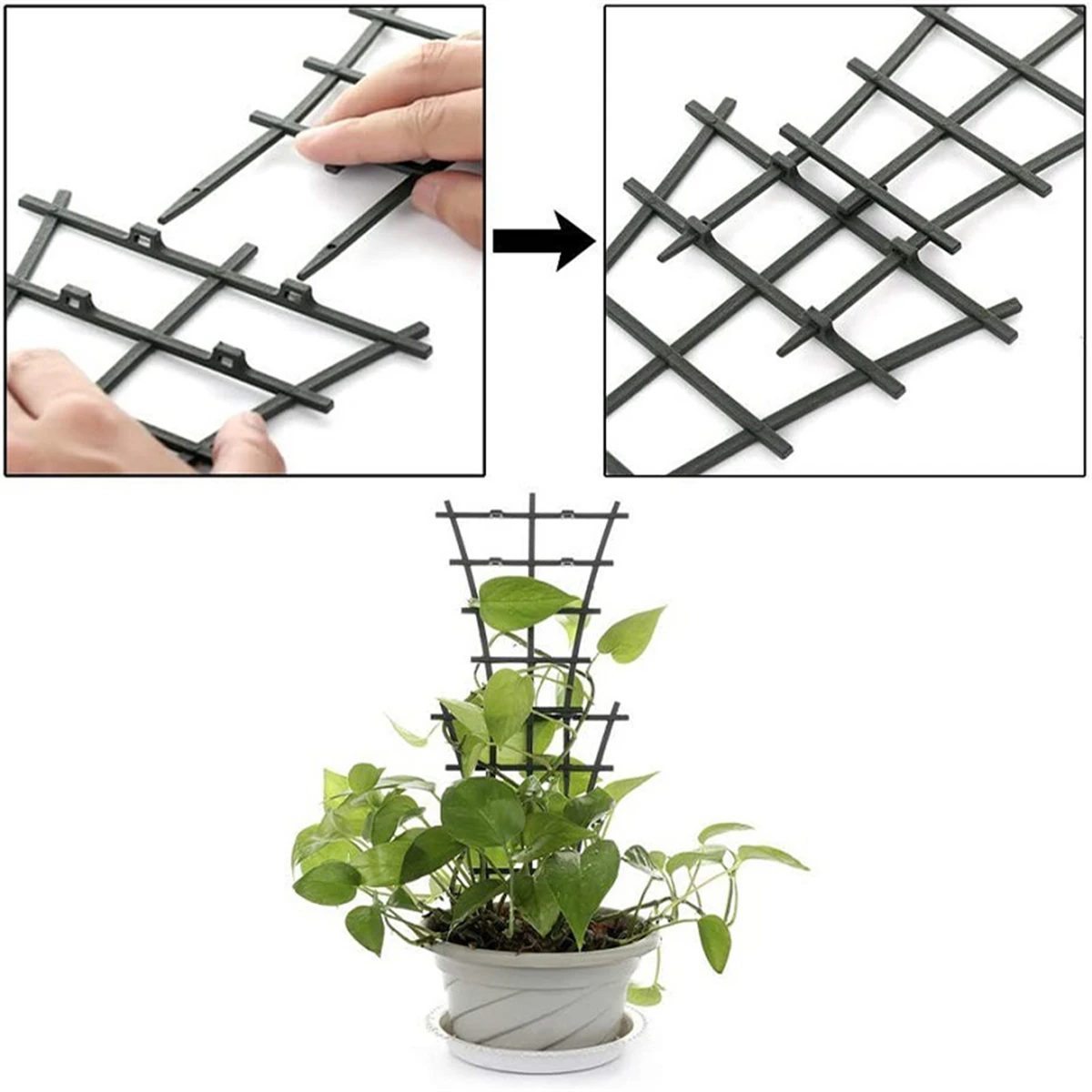 

10pcs Plant Support Stands for Cactus Racket Climbing Tomato And Strawberry Fixed Rod Plastic Potted Flower Balcony Garden