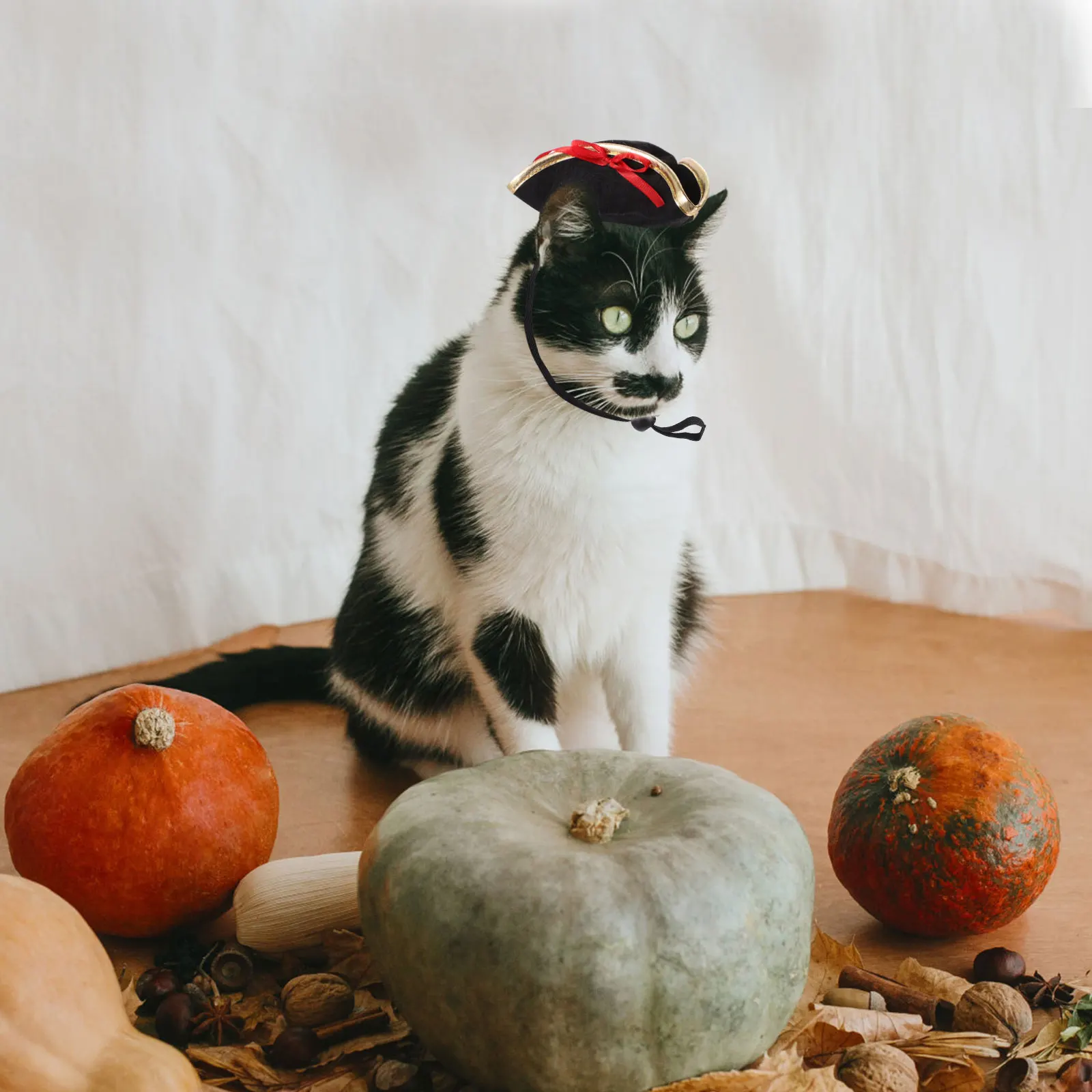 

Pirate Style Dog Hat 1 Piece Premium Wear-Resistant for Adorable Pet Look in Daily Life Or Celebration Event Dog Hat