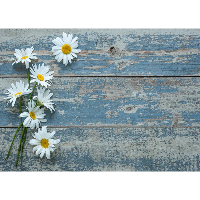 ZHISUXI Vinyl Custom Photography Backdrops Wooden Planks Theme Photography Background 210203FB-02